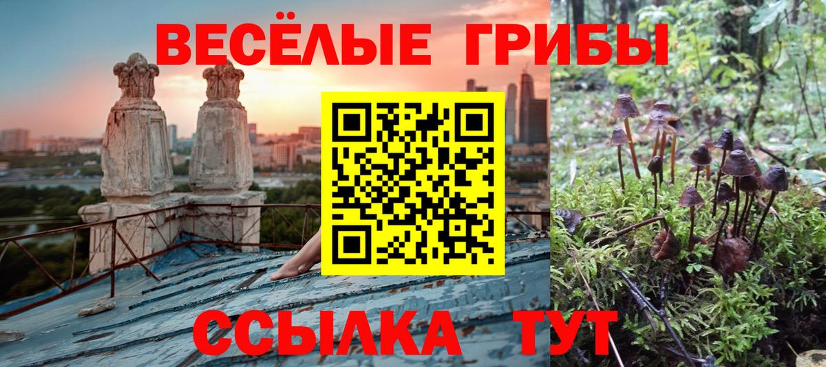 Псилоцибиновые грибы Cubensis  Галлюциногенные грибы MAGIC MUSHROOMS  Барабинск  купить  сайты  Вход с VPN 