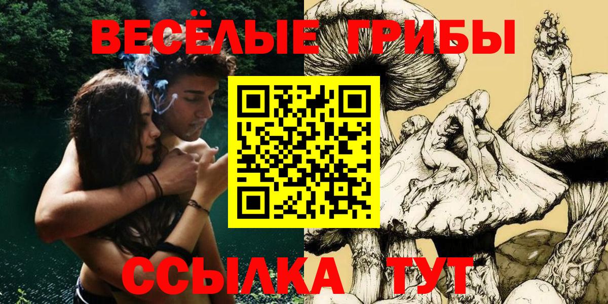 Галлюциногенные грибы прущие грибы Барабинск